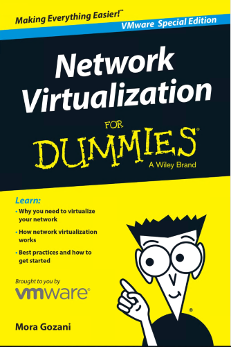 Network Virtualization For Dummies